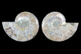 Cut & Polished Ammonite Fossil - Crystal Chambers #103072-1